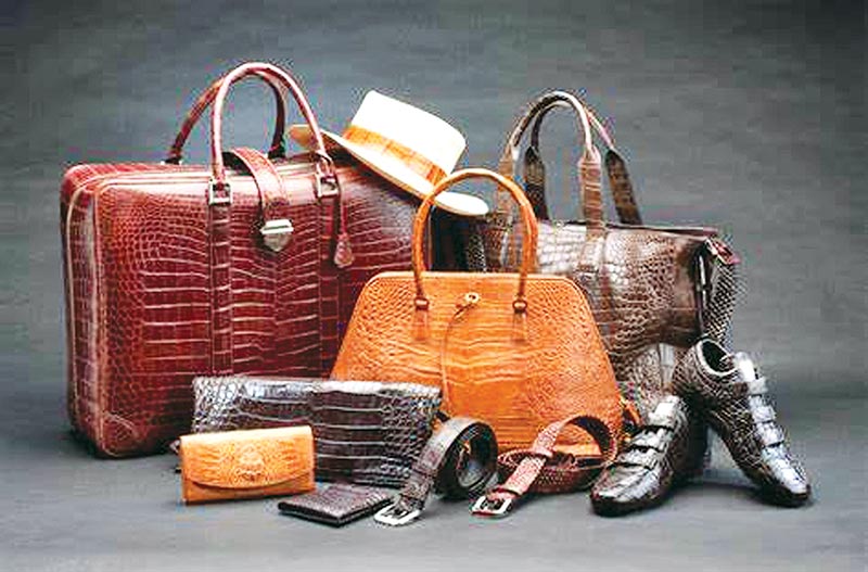 observerbd.com_1566405909